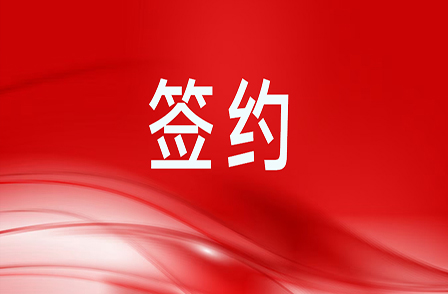 5.63億元智算項(xiàng)目服務(wù)合同！助力客戶(hù)構(gòu)建高效智算集群